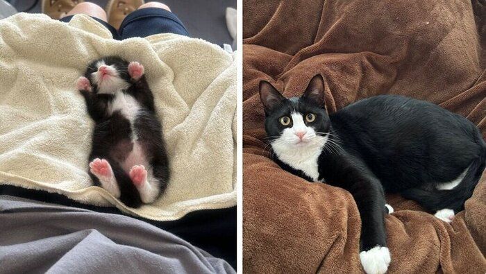 めいちゃんの成長ビフォーアフター写真。