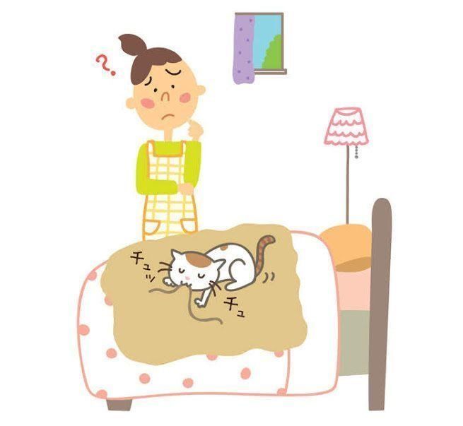 イラスト/松林今日子、西イズミ