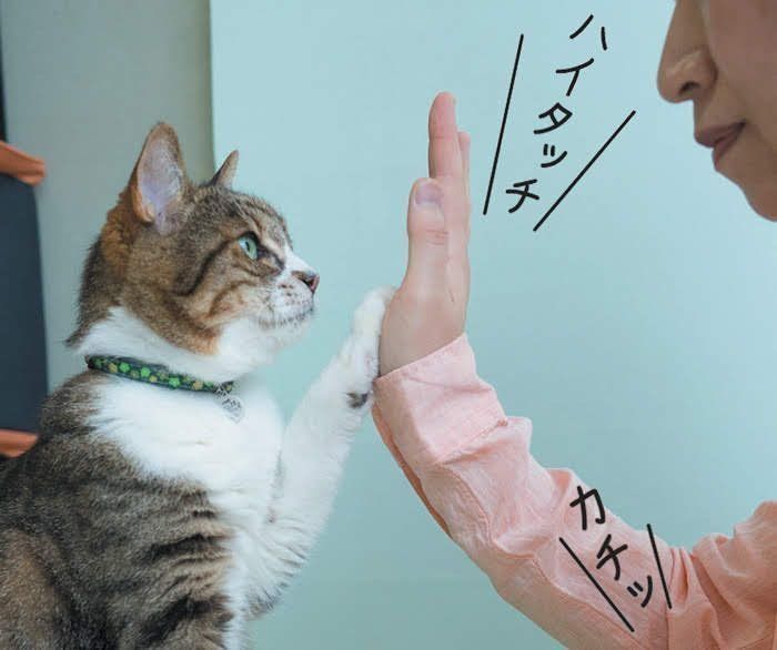 ハイタッチ4