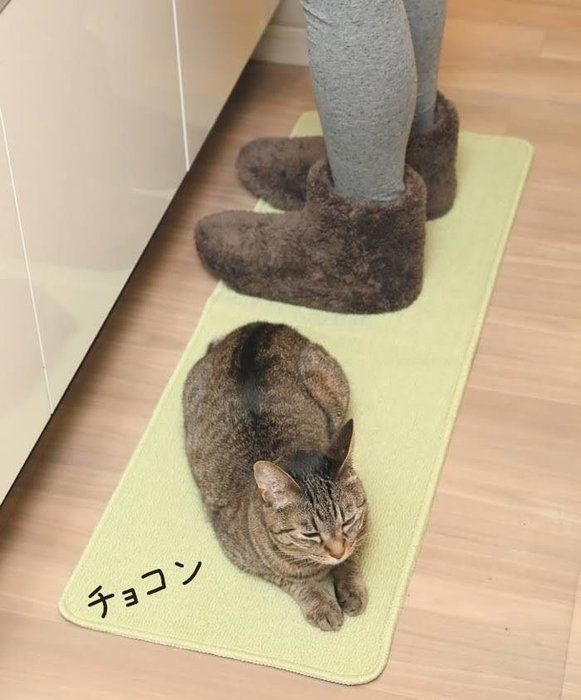 キッチンマットを敷く