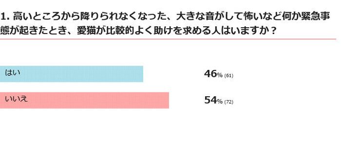 愛猫がよく助けを求める人はいる？