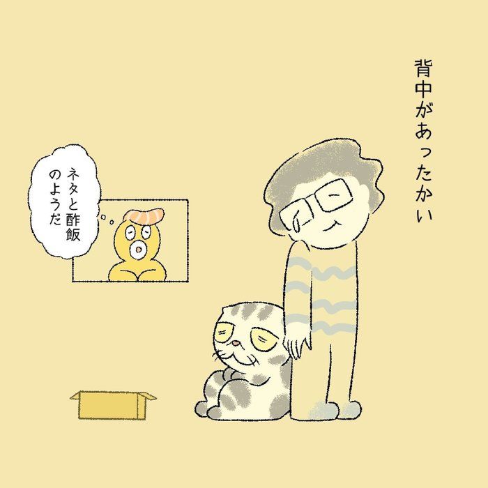 @tacos_cat
