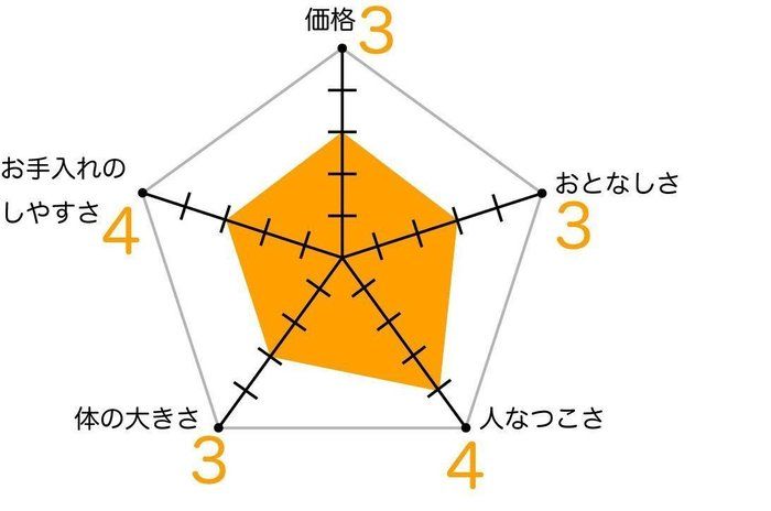 ボブテイル ジャパニーズ