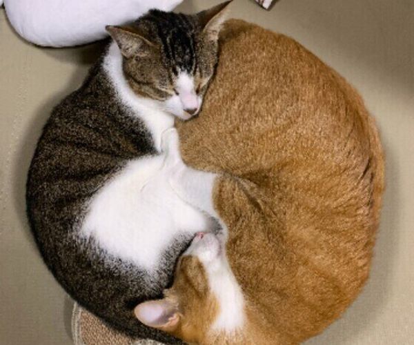 Okras7mwl63fum Okras7mwl63fum