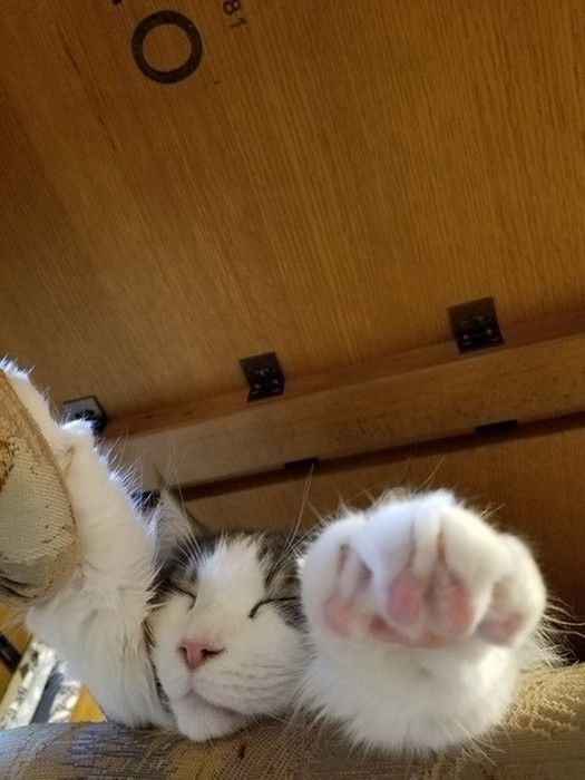 夢の中