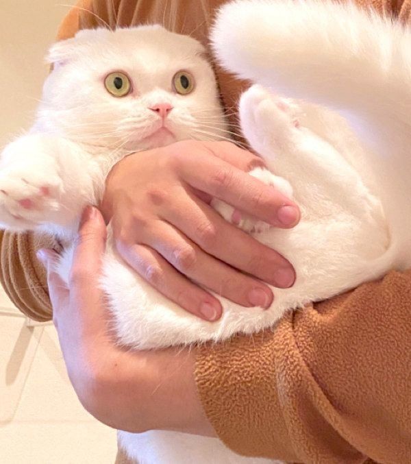 ものすごい目ヂカラで訴えかけるむくちゃん