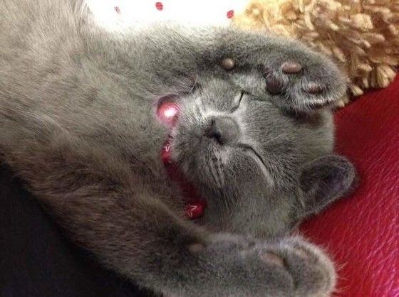 寝姿