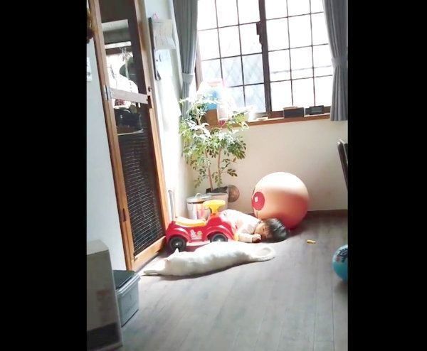 息子さんに寄り添うブランちゃん