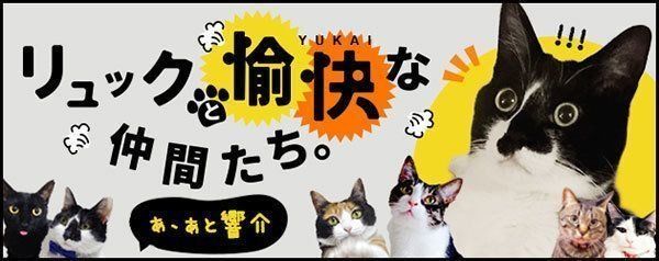 ねこのきもちWEB MAGAZINE『リュックと愉快な仲間たち。』