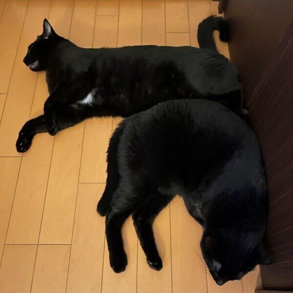 Tn8hprddfosggm Tn8hprddfosggm