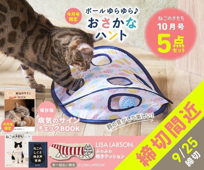 ねこのきもちWEB MAGAZINE｜それでもやっぱり猫が好き