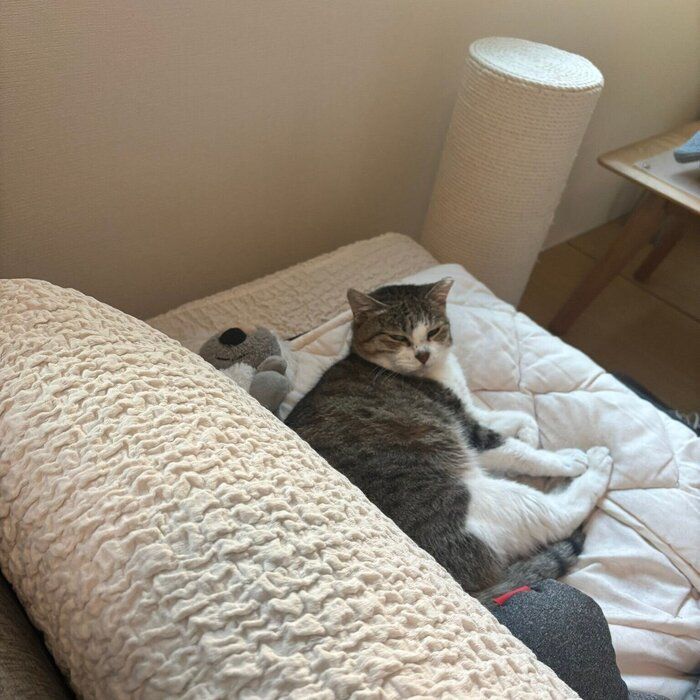 不満げな顔で見つめるぽぬちゃん