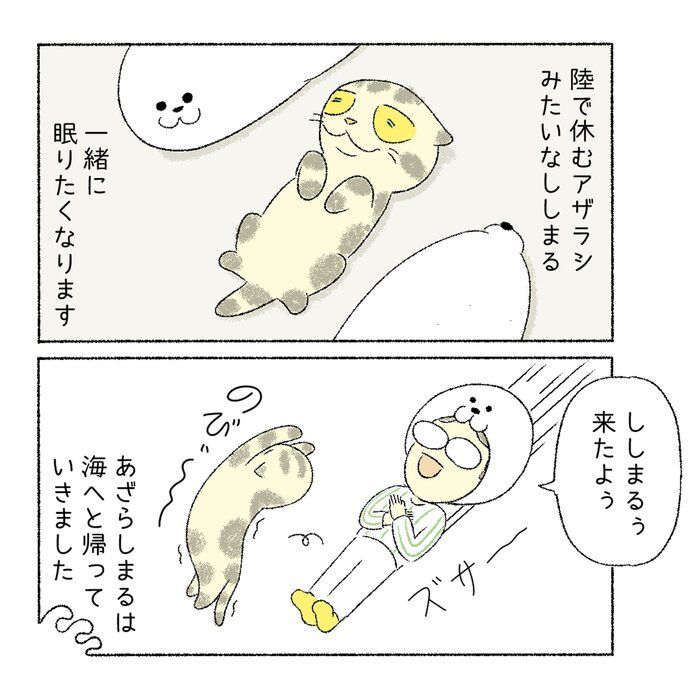 @tacos_cat