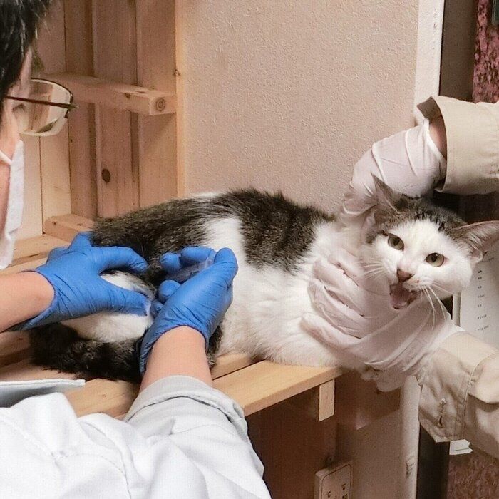 写真提供/ハピまるふくしま