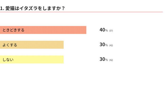 猫のイタズラに関するアンケート結果
