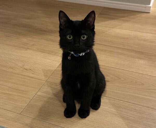洗面所の前で待っていたすみれちゃん