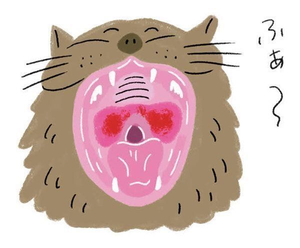 猫のサイレントニャーとは