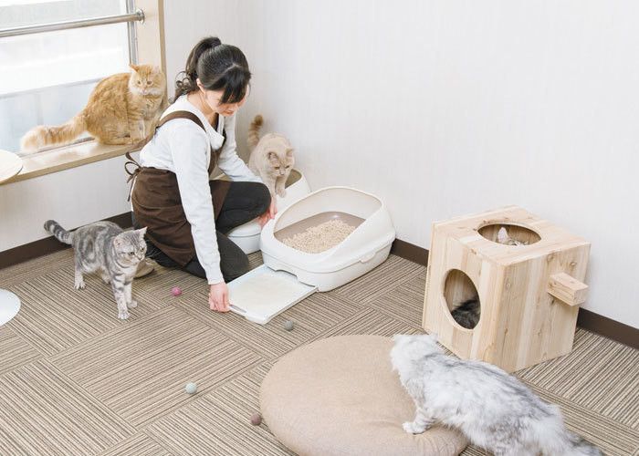 シートは1週間取り替えいらずでニオわない!