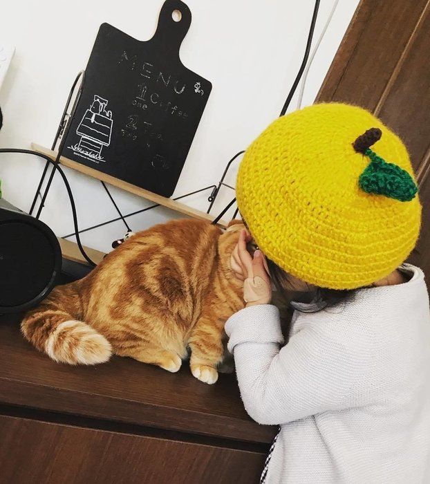子どもと猫