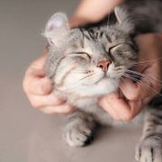 G3bcqlp8o6vfam G3bcqlp8o6vfam