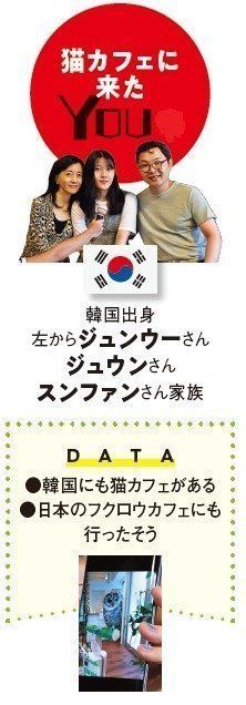 画像/ねこのきもち2018年11月号