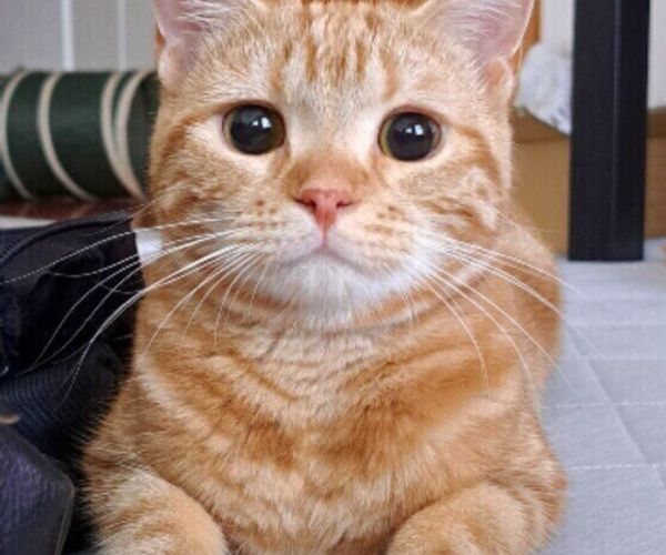 Okras7mwl63fum Okras7mwl63fum