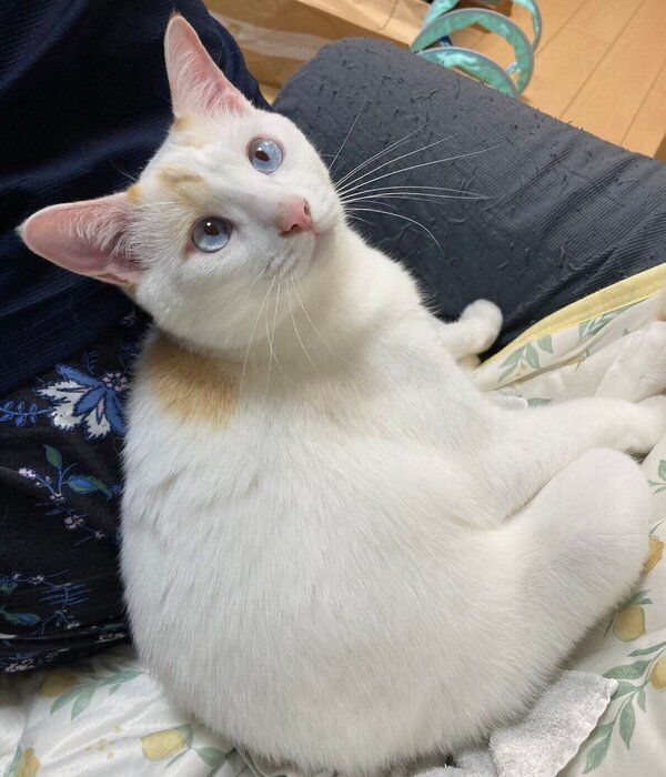 背中に寄りかかるトラオくん