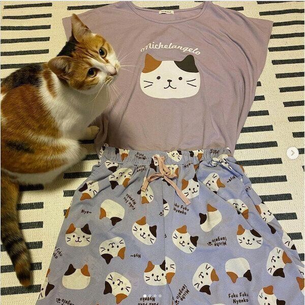 「ふくふくにゃんこ」グッズ