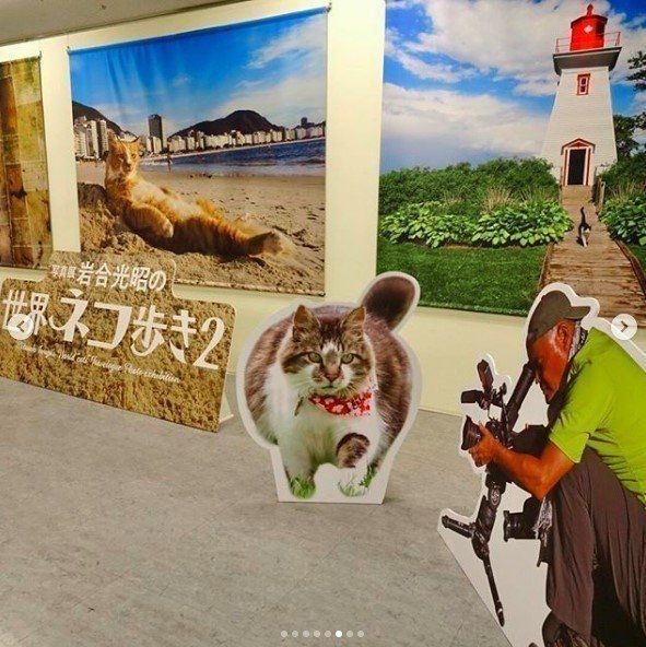 写真展の模様