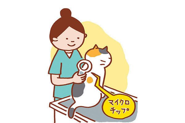 マイクロチップが埋め込まれた猫