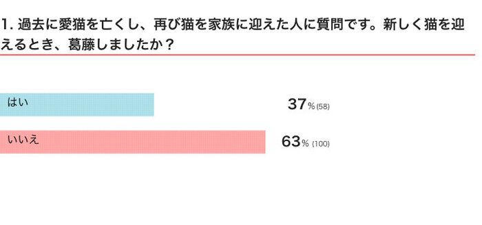 ねこのきもちWEB MAGAZINE 「猫飼いあるある」に関するアンケートvol.06