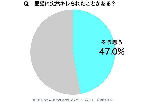 調査:愛猫に突然キレられたことがある?