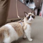 G3bcqlp8o6vfam G3bcqlp8o6vfam