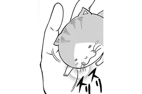 『れんコテ』