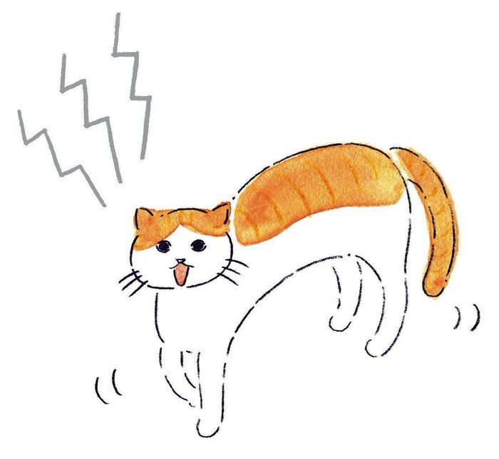 イラスト/みやしたゆみ