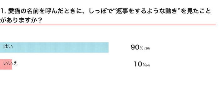 愛猫の名前を呼んだときに、しっぽで“返事をするような動き”を見たことがある?