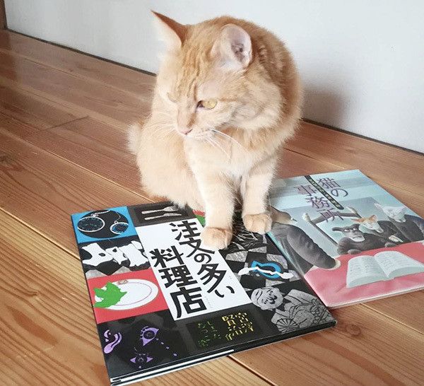 座る猫