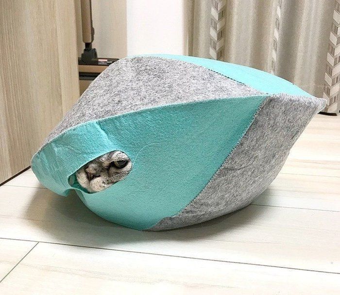 @tacos_cat