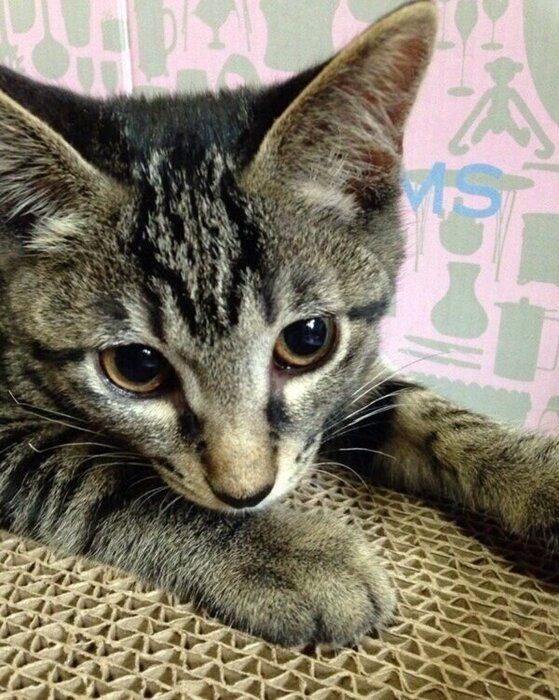 元気いっぱいに成長した渚ちゃん
