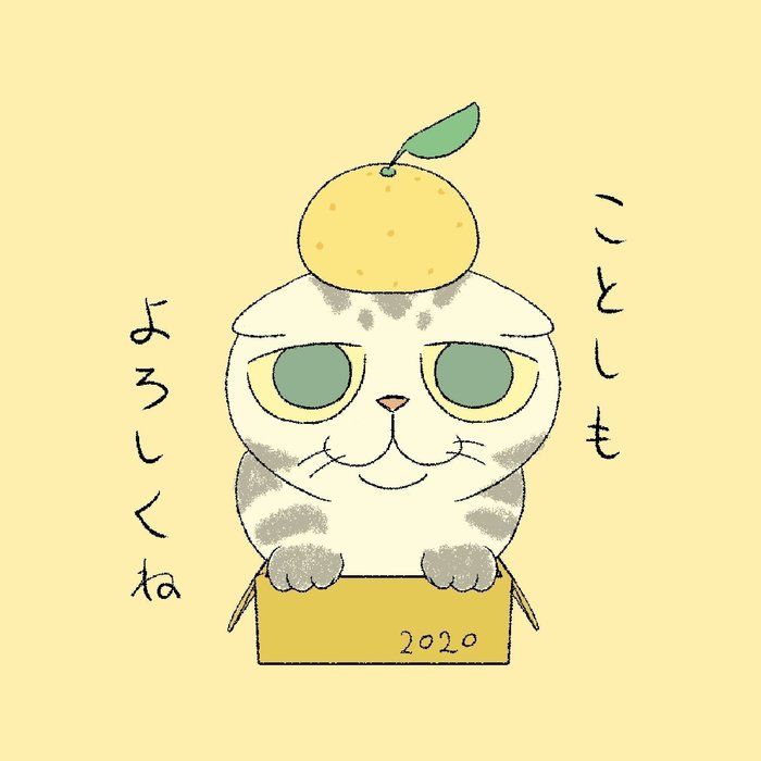 @tacos_cat