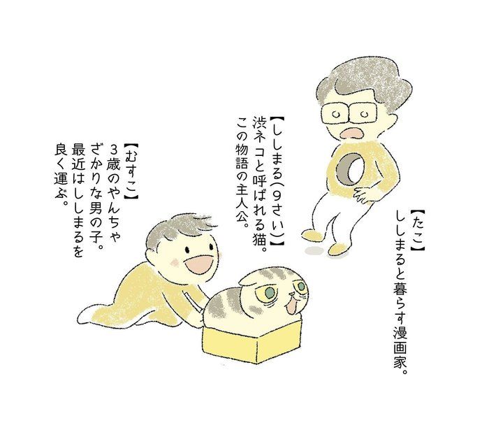@tacos_cat