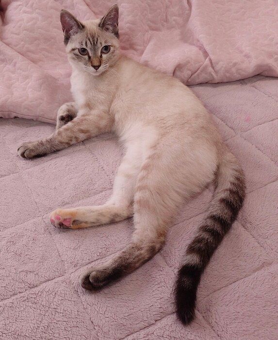 生後4カ月になったルナちゃん