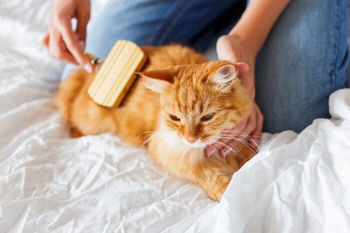画像/iStock、Getty Images Plus