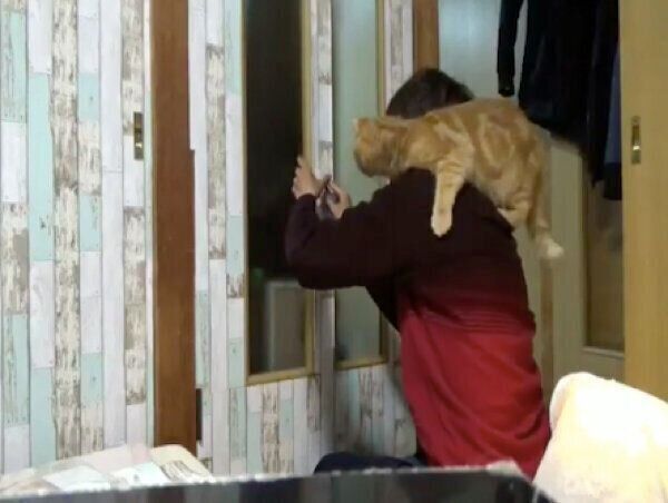 DIYを妨害する番長くん