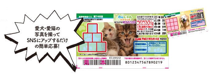 愛犬・愛猫が券面に登場!? 写真投稿キャンペーン!