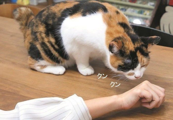 撮影/尾﨑たまき