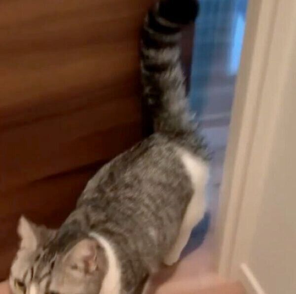 自力でドアを開けたタロウくん
