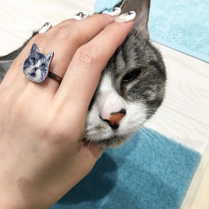 ダヴィンチくんとリング