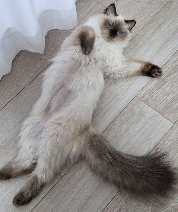 成長中のつくしちゃん