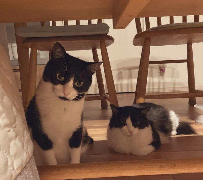 お迎えから2カ月半